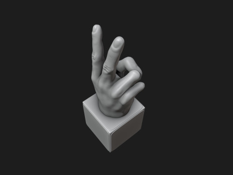 Peace Hand Sign Motivational Reminder Modelo de Impressão 3D