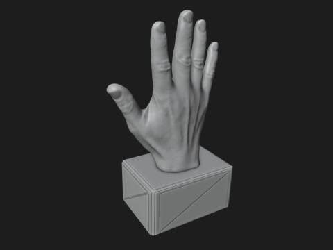 Open Hand Sign Motivational Reminder 3D Принт Модель