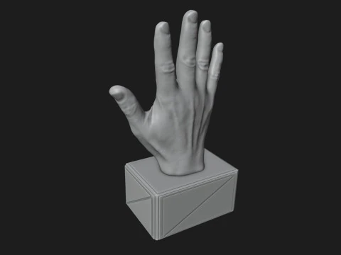 Open Hand Sign Motivational Reminder 3D Print Model
