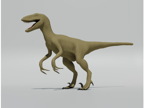 Velociraptor - Game Ready 3D 模型