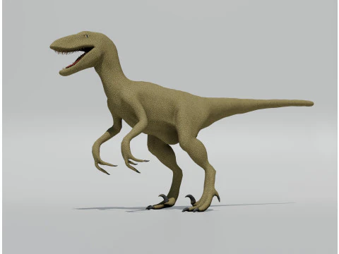 Velociraptor - Game Ready 3D Model