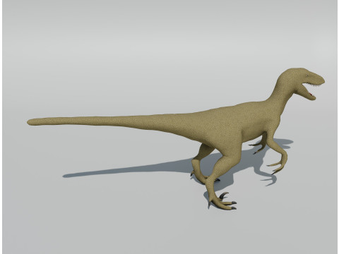Velociraptor - Game Ready 3D 模型