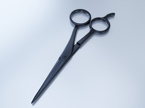 Stainless Steel Scissors High Quality 3D 模型