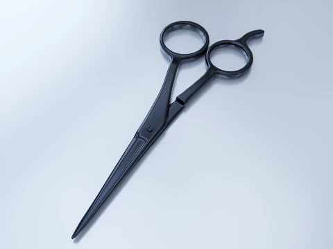 Hochwertige Edelstahlschere 3D Modell