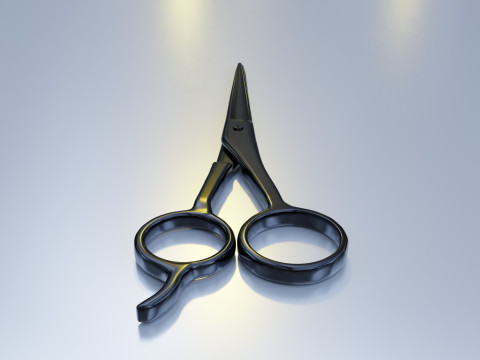 Stainless Steel Scissors High Quality 3D Model