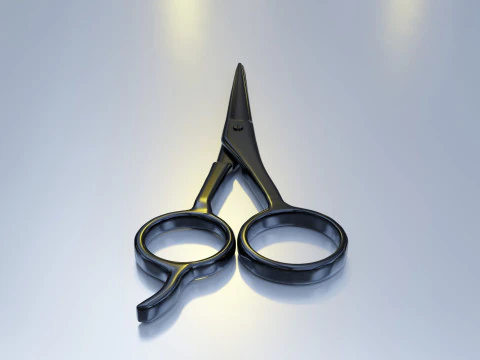 Stainless Steel Scissors High Quality 3D Model