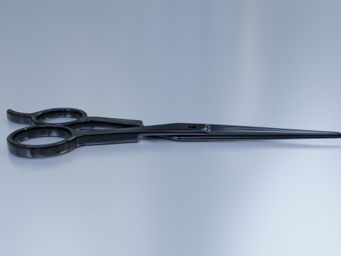 Stainless Steel Scissors High Quality 3D Model