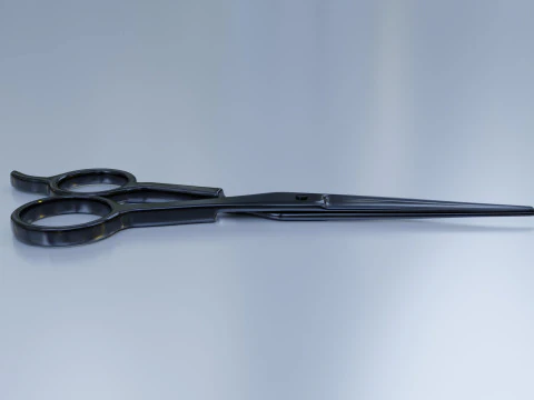 Stainless Steel Scissors High Quality 3D Model