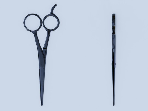 Stainless Steel Scissors High Quality 3D Model