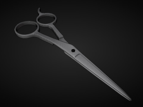 Stainless Steel Scissors High Quality 3D Model