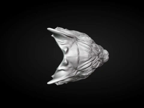 Wolf Mask 3D Print Model
