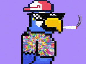 birb 3D 模型