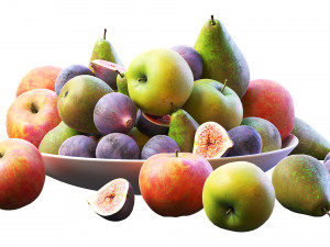 fruits 3D 模型