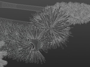 Cleaning brushes 3D Model
