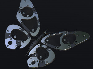 Butterfly 3D-Modell