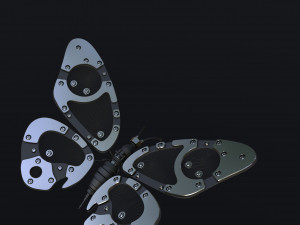 Butterfly 3D-Modell