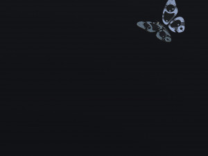 Butterfly 3D-Modell
