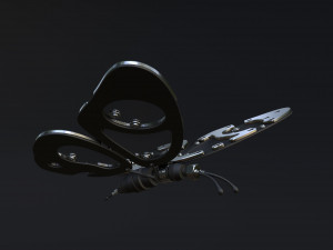 Butterfly 3D-Modell
