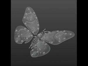 Butterfly 3D-Modell