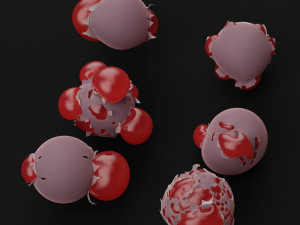 Anhysbys peth 3D 모델