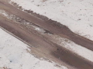 TEXTURE ROAD Winter Modello 3D