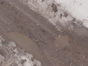 TEXTURE ROAD Winter Modello 3D