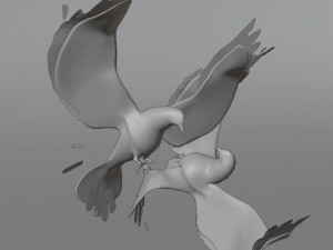 BIRDS 3D मॉडल