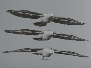 BIRDS 3D मॉडल