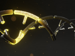 DNA 3D Model