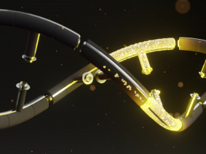 DNA 3D Model
