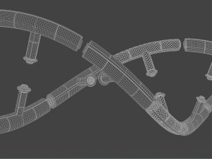 DNA 3D Model