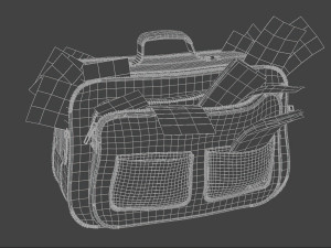 BAG OF MONEY 3Dモデル