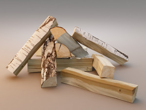 FireWood Model 3D