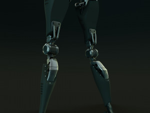 ROBOT Girl 3D Model