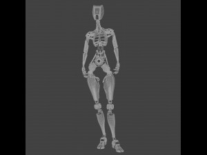 ROBOT Girl 3D Model