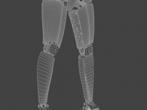 RobotiXXX 3D Модель