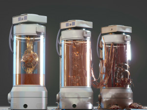Capsule Model 3D