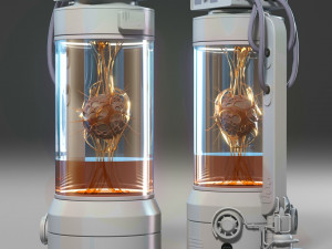 Capsule Model 3D