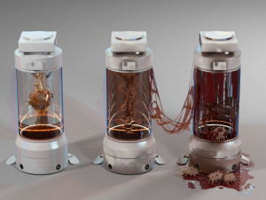 Capsule Model 3D