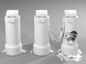 Capsule Model 3D