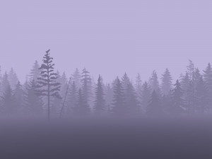 2D Forest 3D Модель