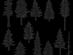 2D Forest 3D Модель