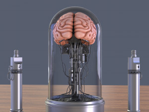 Brain in a jar 3D 模型