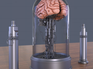 Brain in a jar Modèle 3D