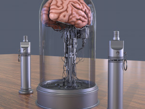 Brain in a jar Modèle 3D