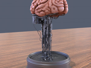 Brain in a jar Modèle 3D