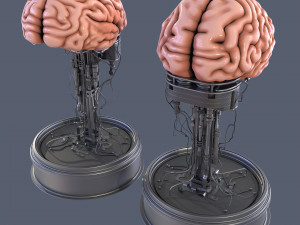 Brain in a jar Modèle 3D