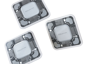 Microchip Model 3D