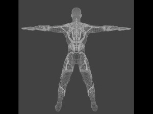 Exoskeleton Modèle 3D