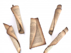 Paper is old 3D Model